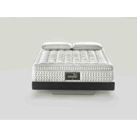 Matrac Maestro Dual 14